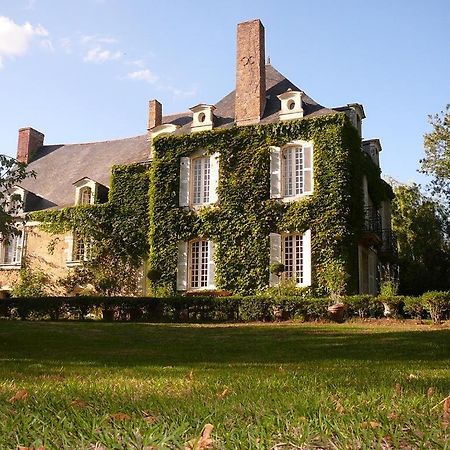 La Marronniere Hotel Cheffes-sur-Sarthe ภายนอก รูปภาพ