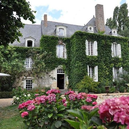 La Marronniere Hotel Cheffes-sur-Sarthe ภายนอก รูปภาพ