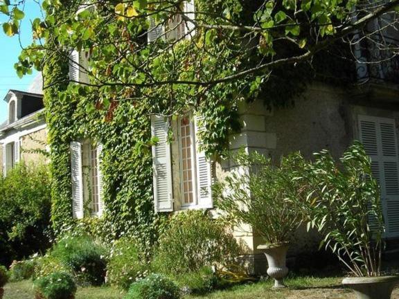 La Marronniere Hotel Cheffes-sur-Sarthe ภายนอก รูปภาพ