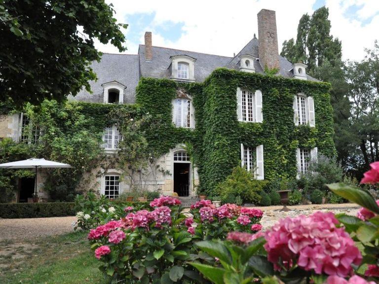 La Marronniere Hotel Cheffes-sur-Sarthe ภายนอก รูปภาพ