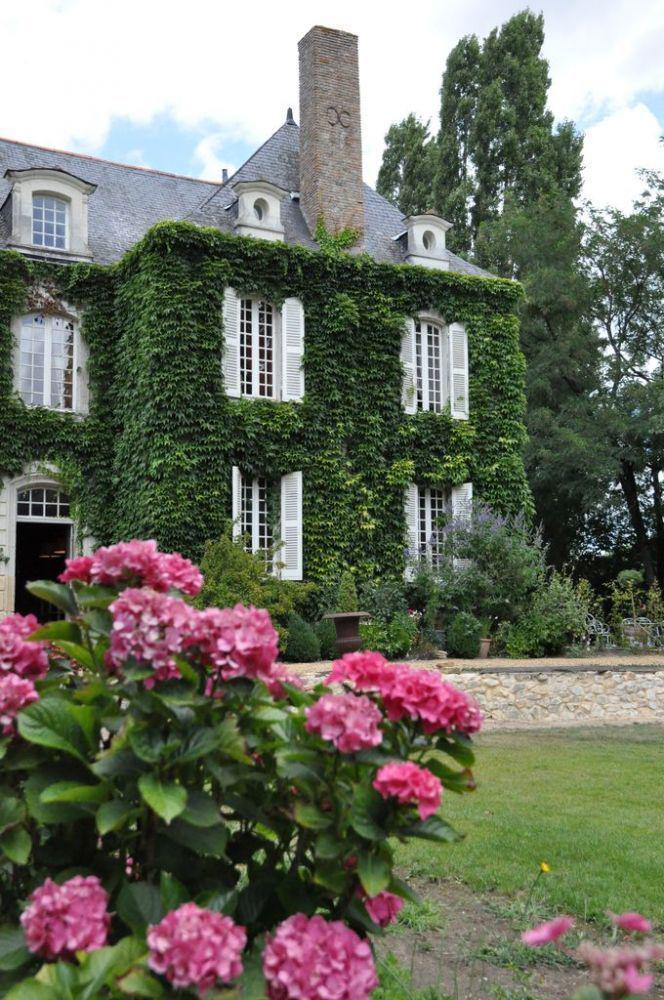 La Marronniere Hotel Cheffes-sur-Sarthe ภายนอก รูปภาพ